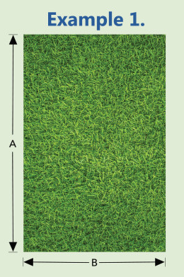 example-1
